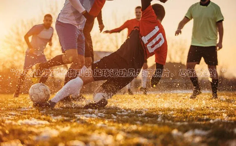 尊龙官网登录人生就是博登录小米