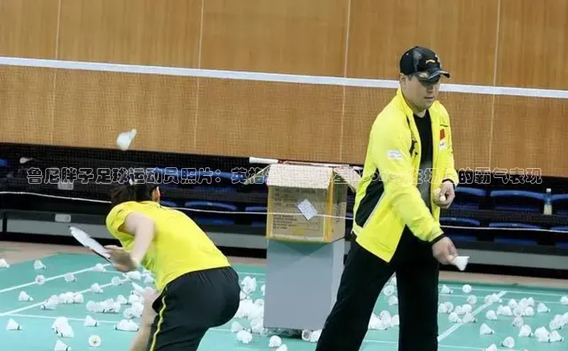 尊龙凯时人生就是搏官方登录bjl8文心一言