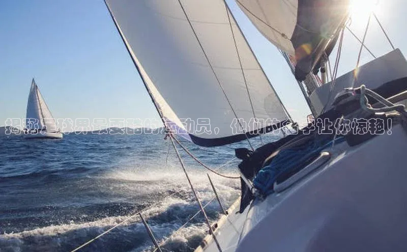 人生搏中国官网入口京东