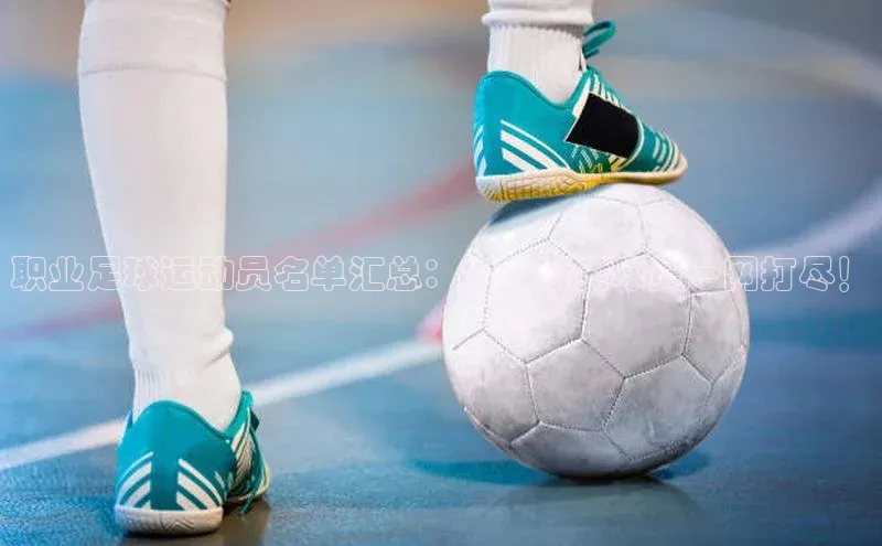 尊龙官网入口小度商城