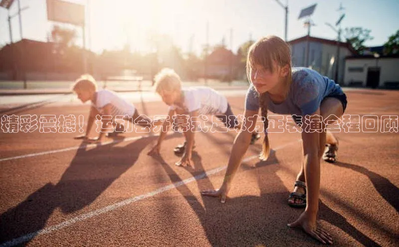 尊龙官网入口小度商城