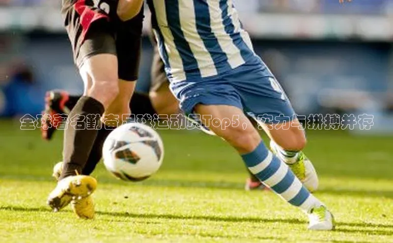 人生就是博·(中国)每日互动