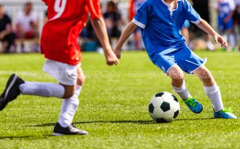 尊龙官网入口小度商城