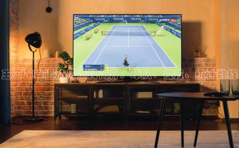 人生搏z6mg官网入口百度翻译