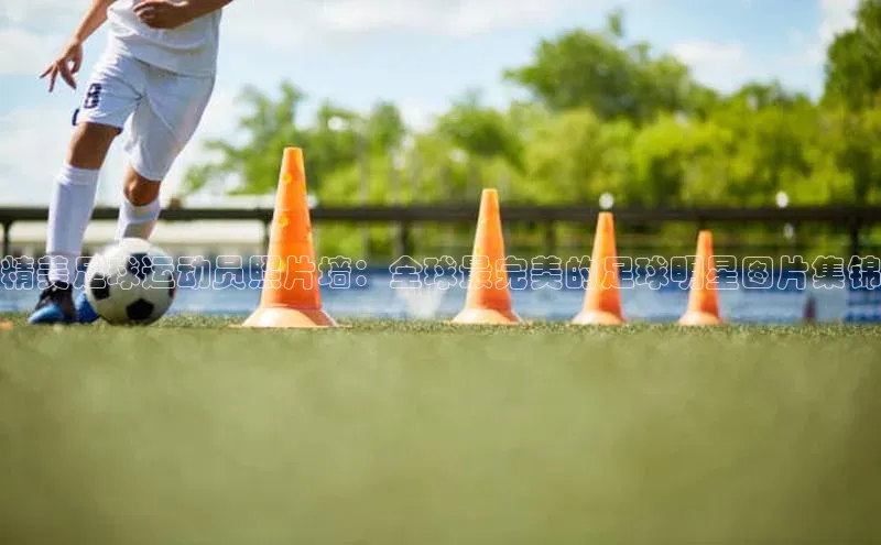 尊龙官网入口路畅科技