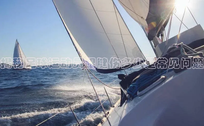 z6尊龙·[中国]官方网站彩讯股份