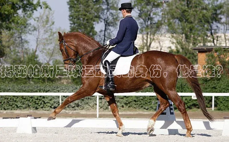 人生就是博官网bjl8百度人工翻译