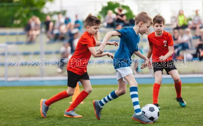 人生就是博·(中国)观星盘