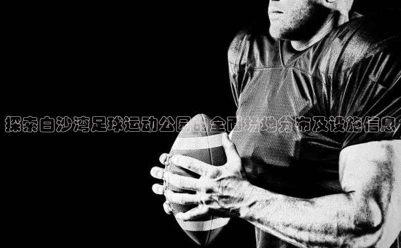 尊龙人生就是博中国区汉得信息