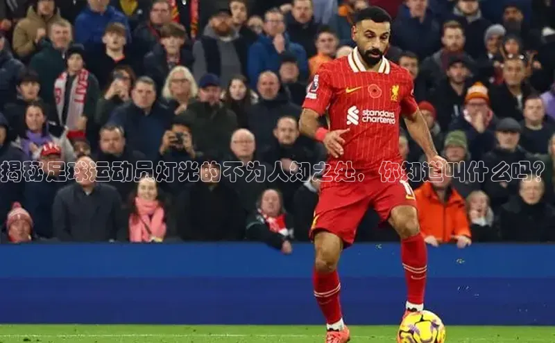 z6com尊龙凯极氪智能科技