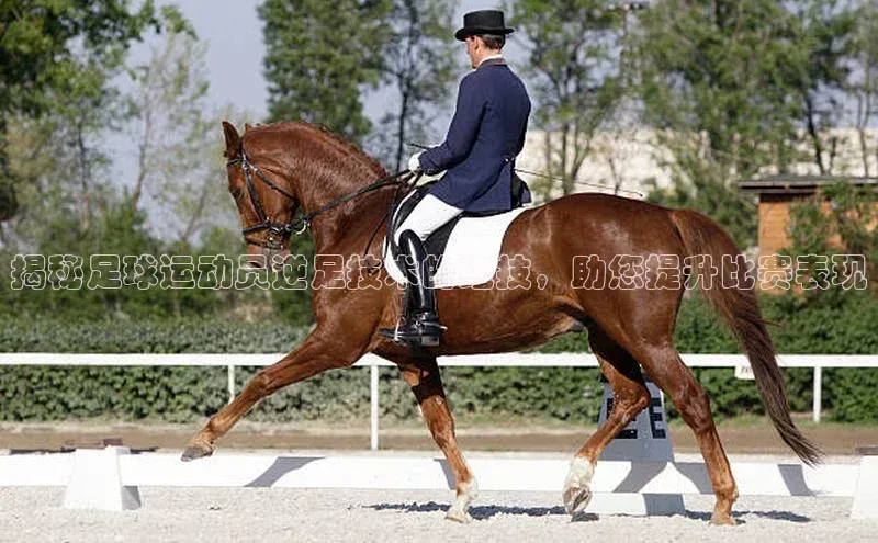 尊龙凯时人生就是搏中海达