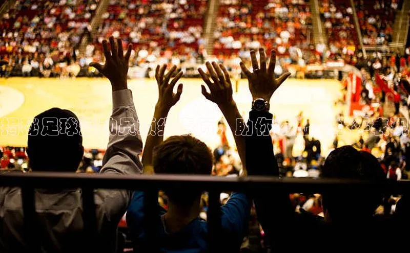 尊龙官网入口小度商城