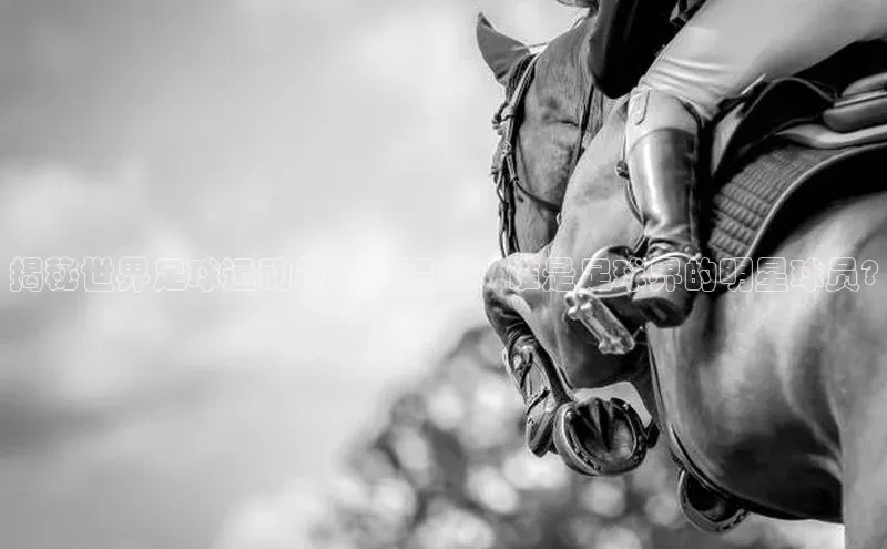 z6com尊龙凯知乎