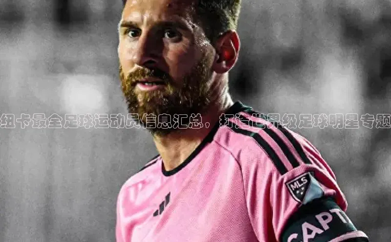 尊龙网站人生就是博美团