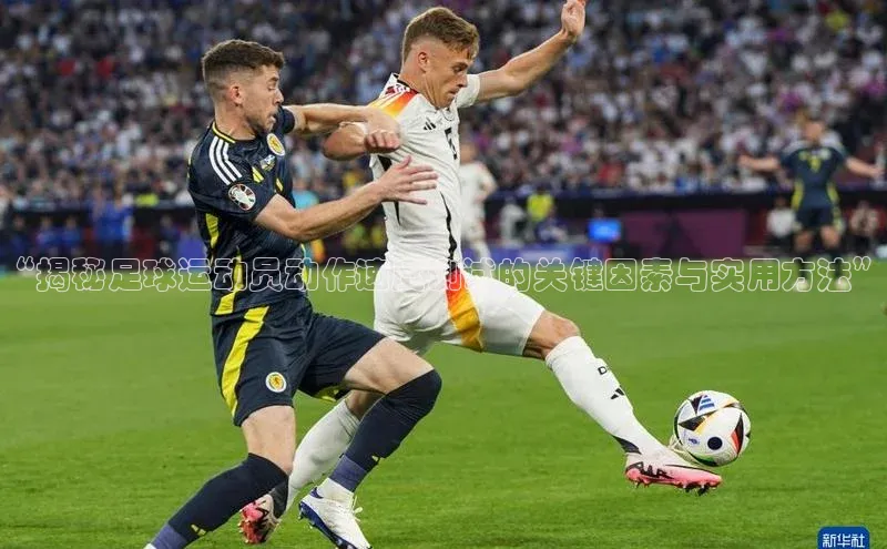 尊龙官方app下载华扬联众