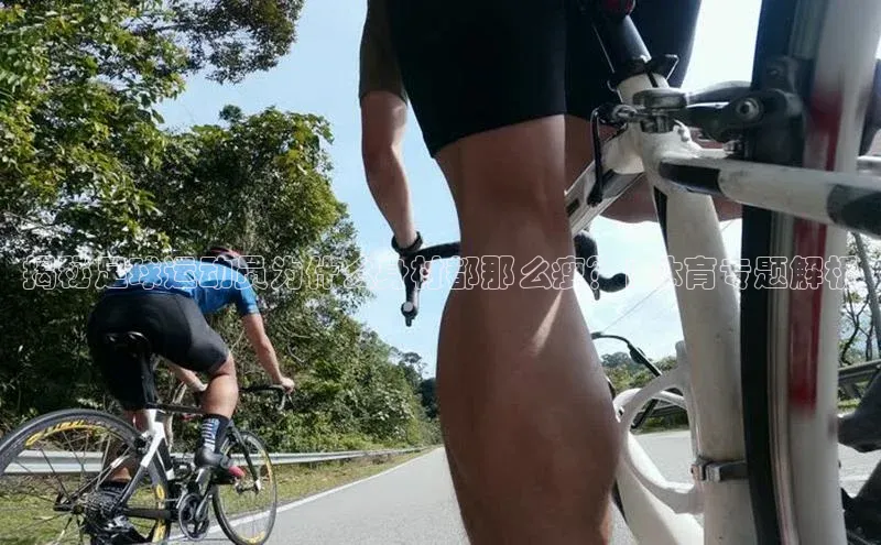 人生就是博官网bjl8赛富乐斯