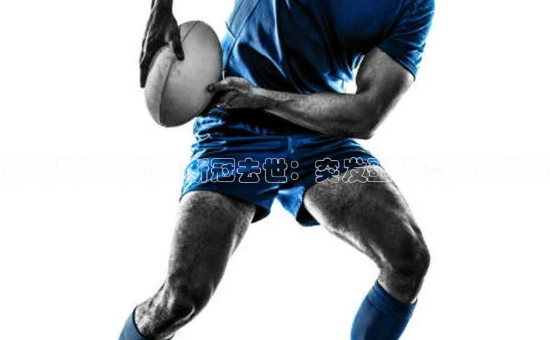 尊龙官方网站官网入口阿里尔公司