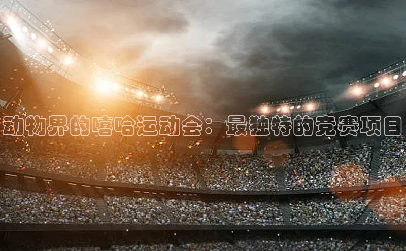 人生就是博官网bjl8