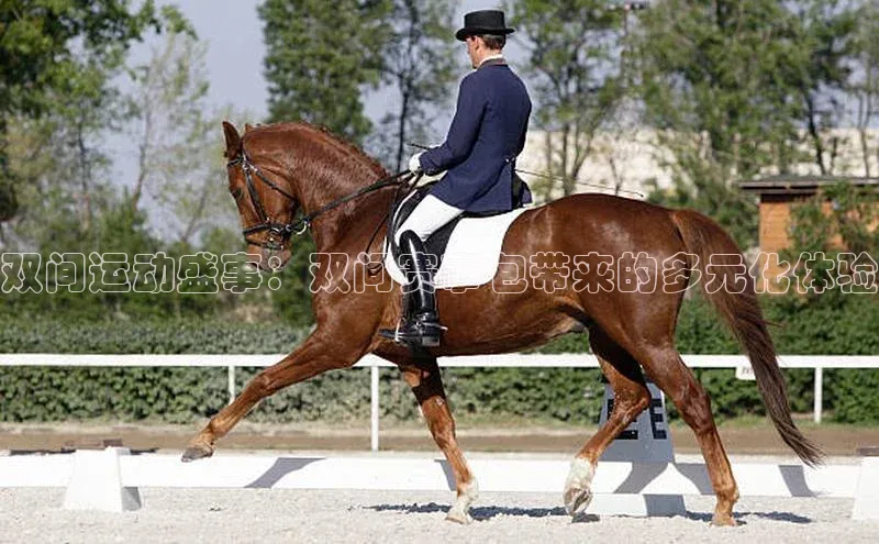 尊龙凯时人生就是搏官方登录bjl8