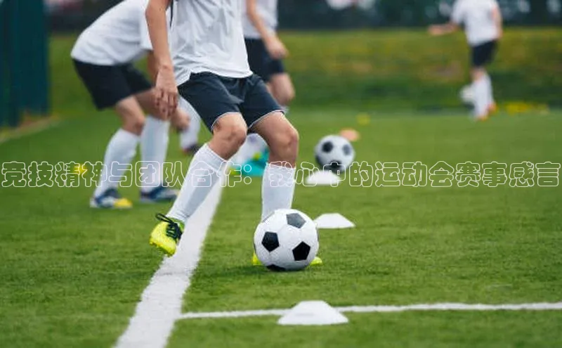 人生就是博官方网站